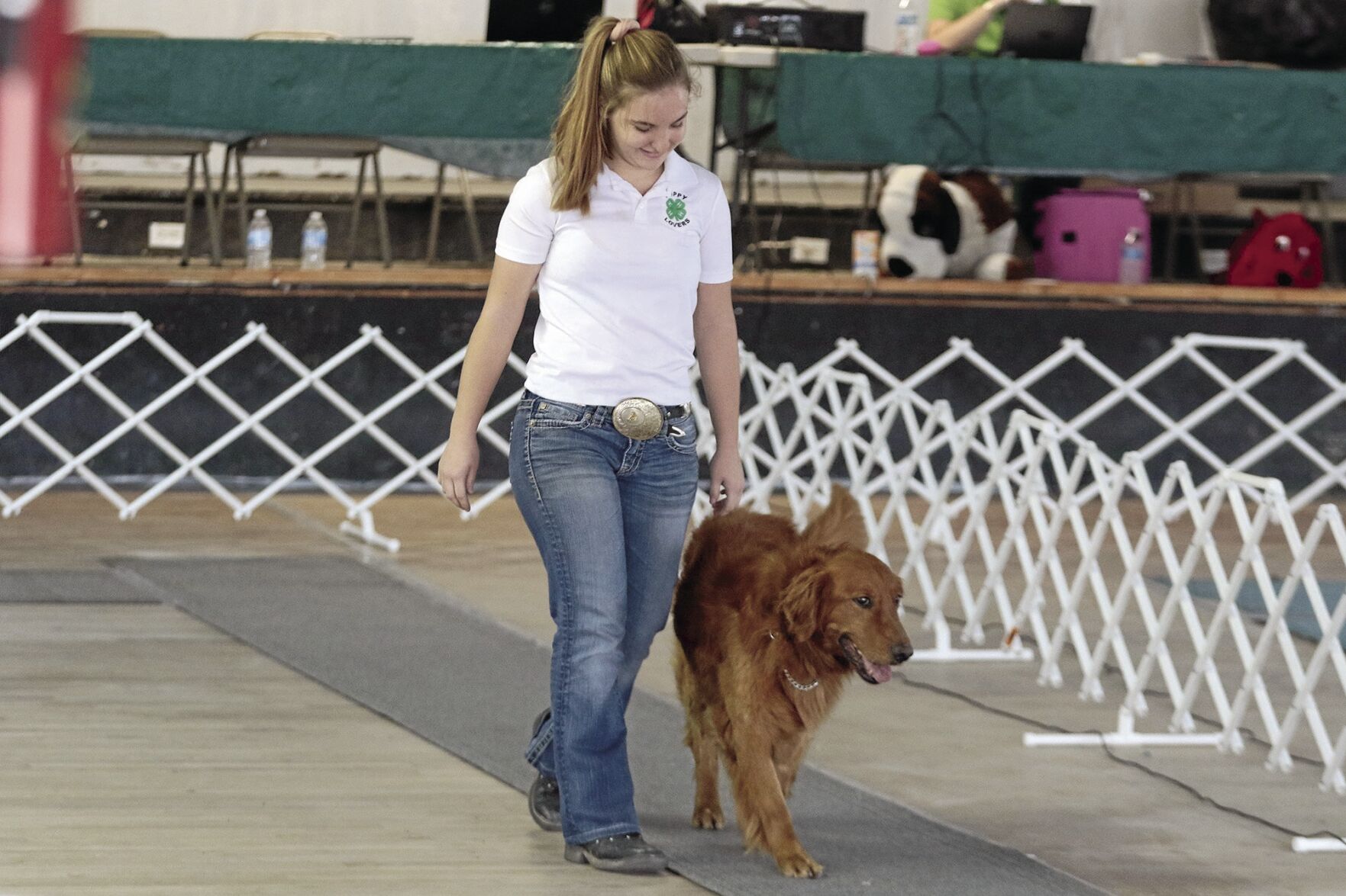 PHOTOS: Scotts Bluff County Fair Dog Show 2020